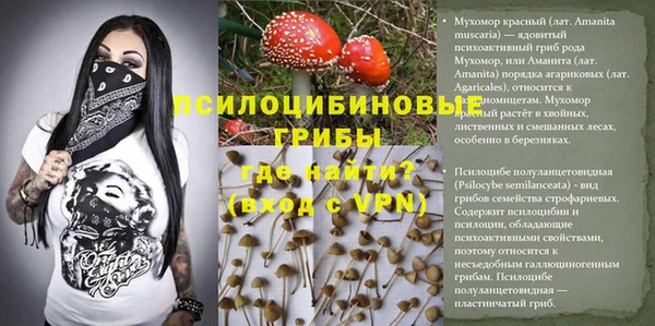 метадон Богданович