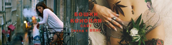 дживик Богородицк