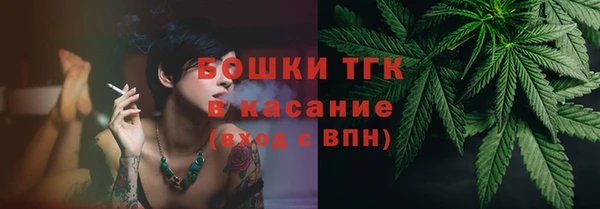 дживик Богородицк