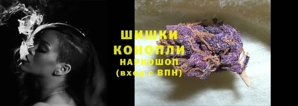 метадон Богданович