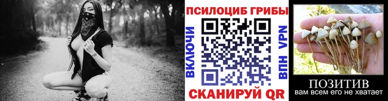 Псилоцибиновые грибы Magic Shrooms  Купить закладки  Буй 